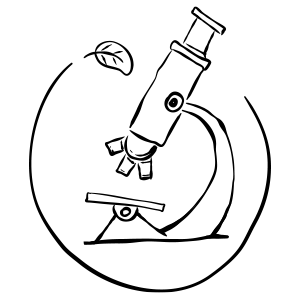 01-300px.png
