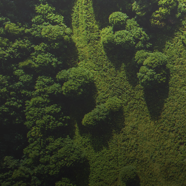 Fondo Green.jpg